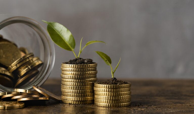 frugalitatea si salariul minim